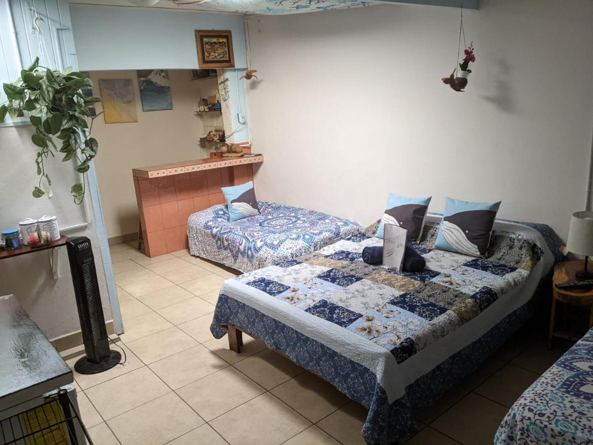 Guesthouse Casa Lapa Алахуэла Экстерьер фото